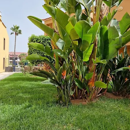 Great 2bedrooms In Appartement Costa Del Silencio